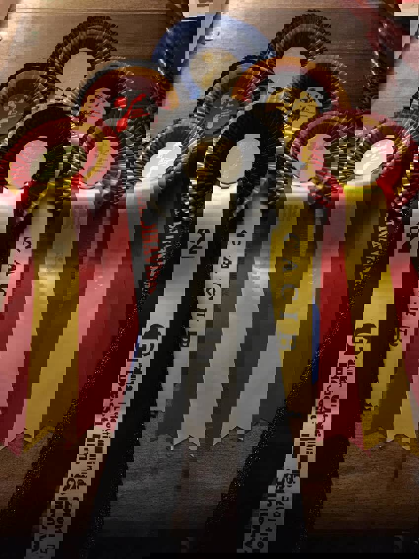 Nye regler for Championater!