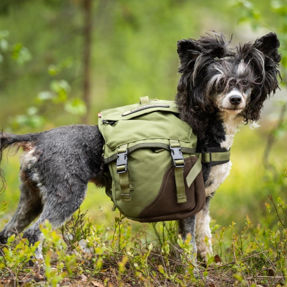 Artikkelbilde til artikkelen NHLs kløvmerke i bronse lørdag 11 oktober 2025