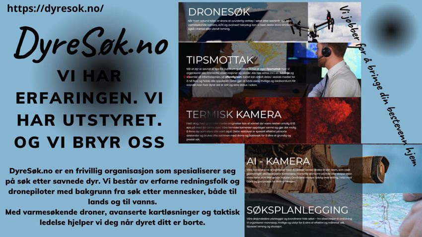 Dyresøk.no