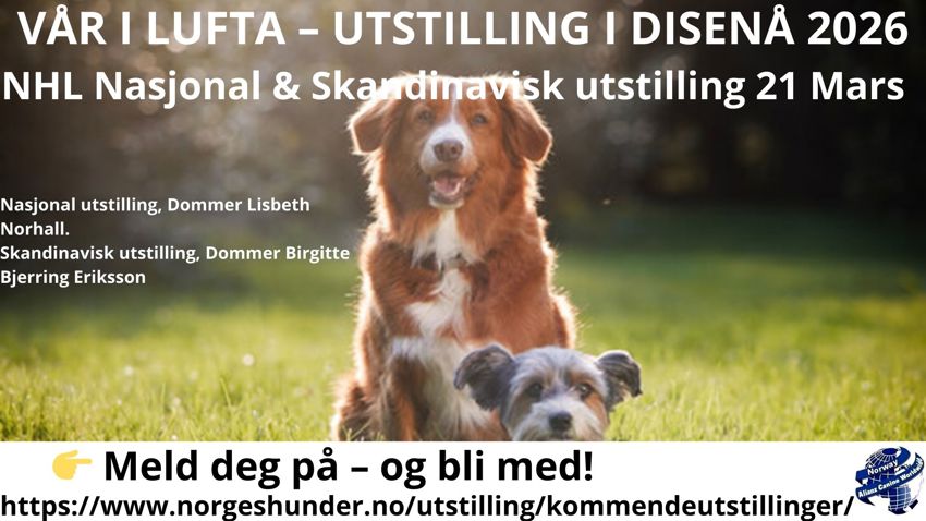 Første utstilling 2026 !!! 21 Mars 