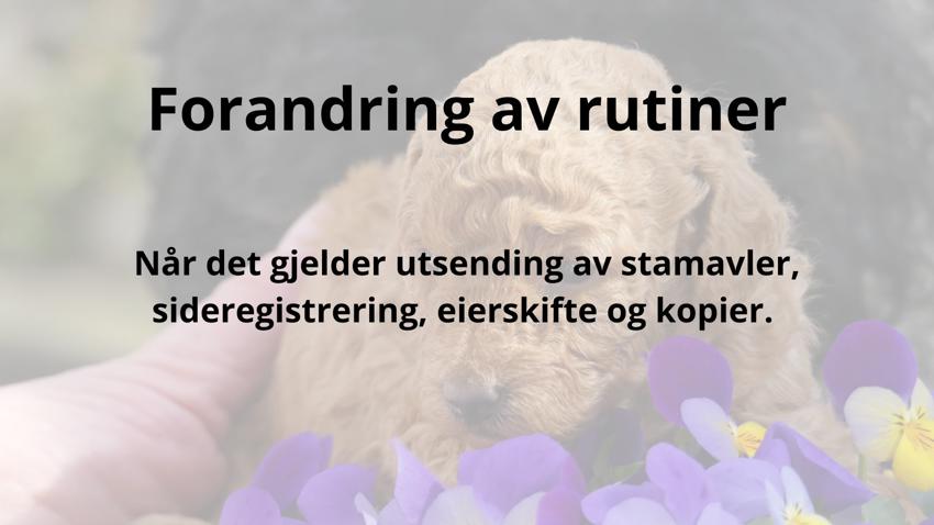 Nye rutiner ved utsendelser